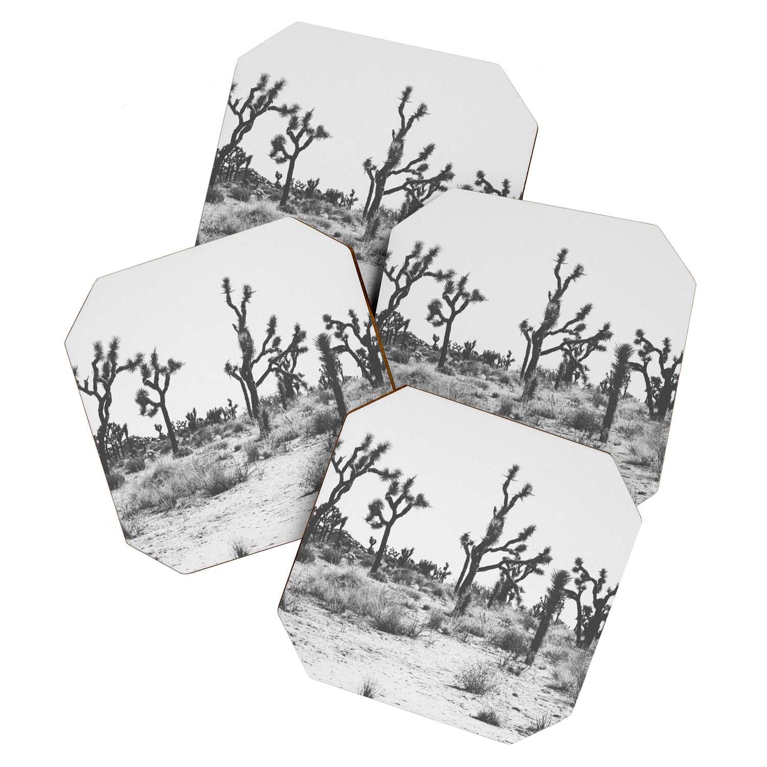 JOSHUA TREE IX / California Desert Coaster Gallery Image 1