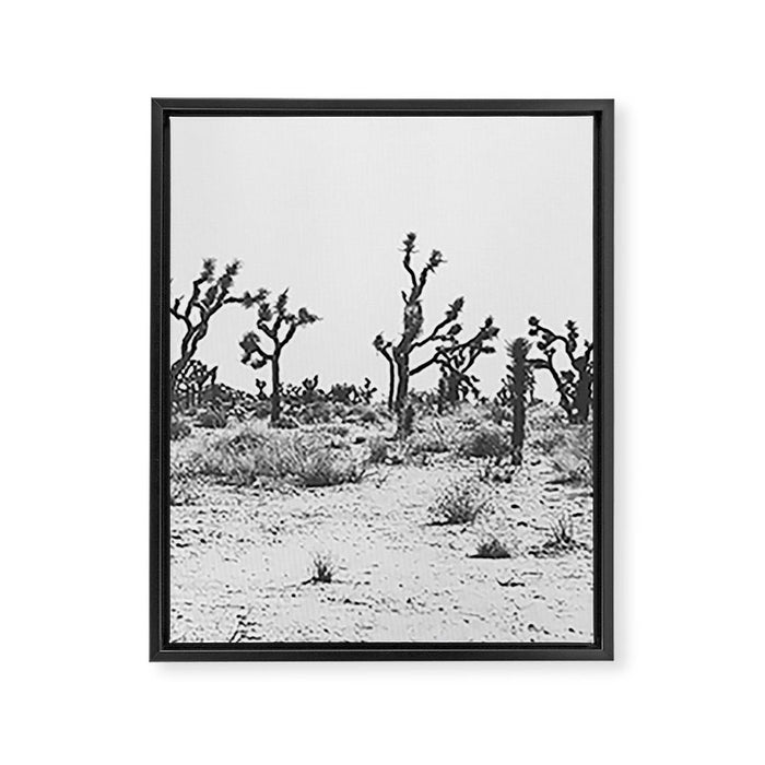 JOSHUA TREE IX / California Desert Framed Canvas Print Gallery Image 1