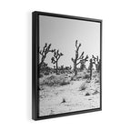 JOSHUA TREE IX / California Desert Framed Canvas Print Gallery Image 2