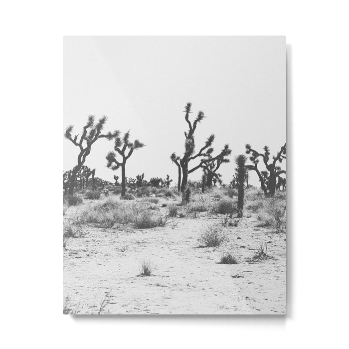 JOSHUA TREE IX / California Desert Metal Print Gallery Image 1