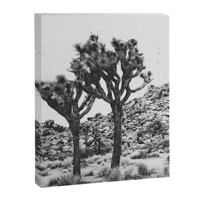 JOSHUA TREE VI / California Desert Canvas Print Gallery Image 1