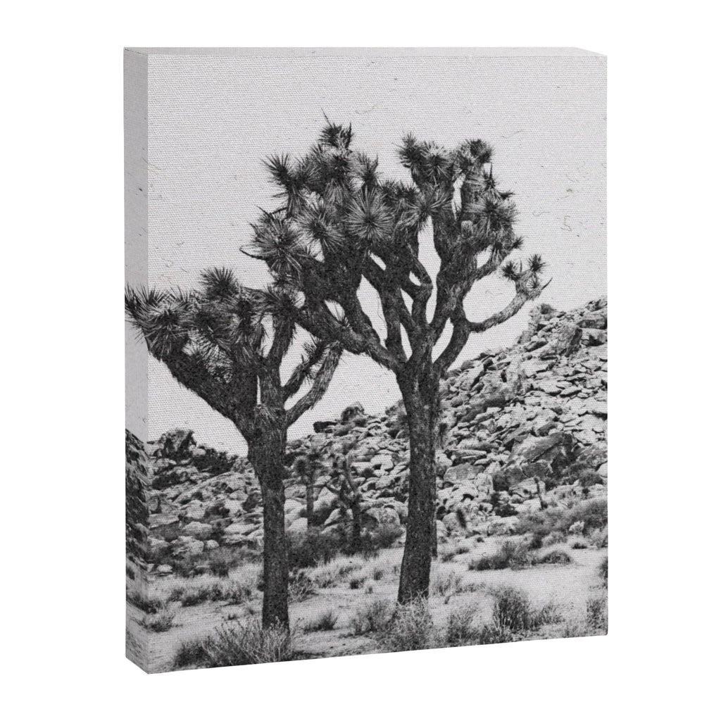 JOSHUA TREE VI / California Desert Canvas Print Gallery Image 6