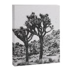 JOSHUA TREE VI / California Desert Canvas Print Gallery Image 6