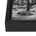 JOSHUA TREE VI / California Desert Framed Canvas Print Gallery Image 3