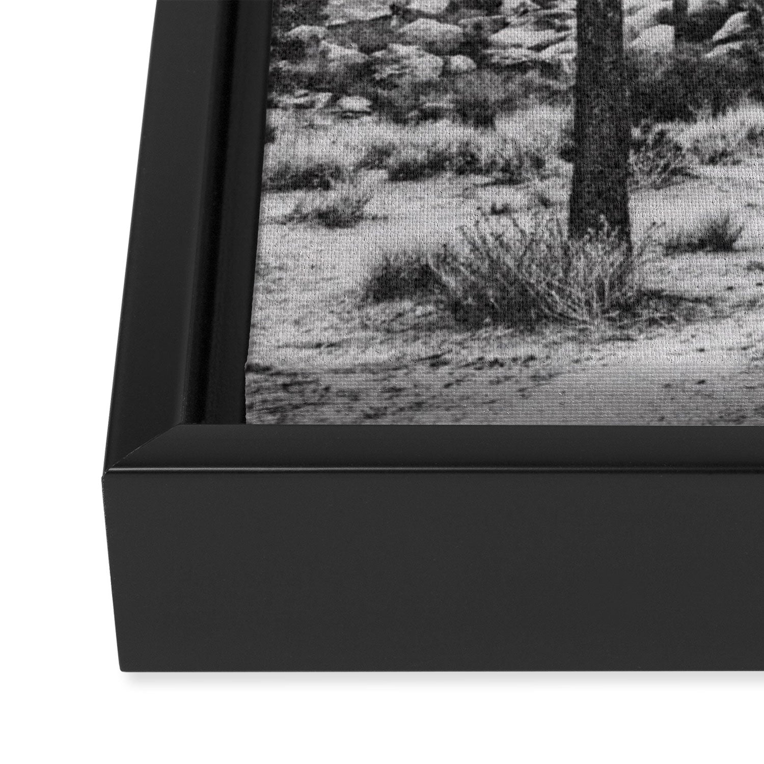 JOSHUA TREE VI / California Desert Framed Canvas Print Gallery Image 3
