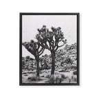 JOSHUA TREE VI / California Desert Framed Canvas Print Gallery Image 6