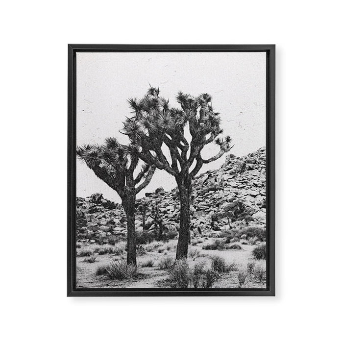 JOSHUA TREE VI / California Desert Framed Canvas Print Gallery Image 1