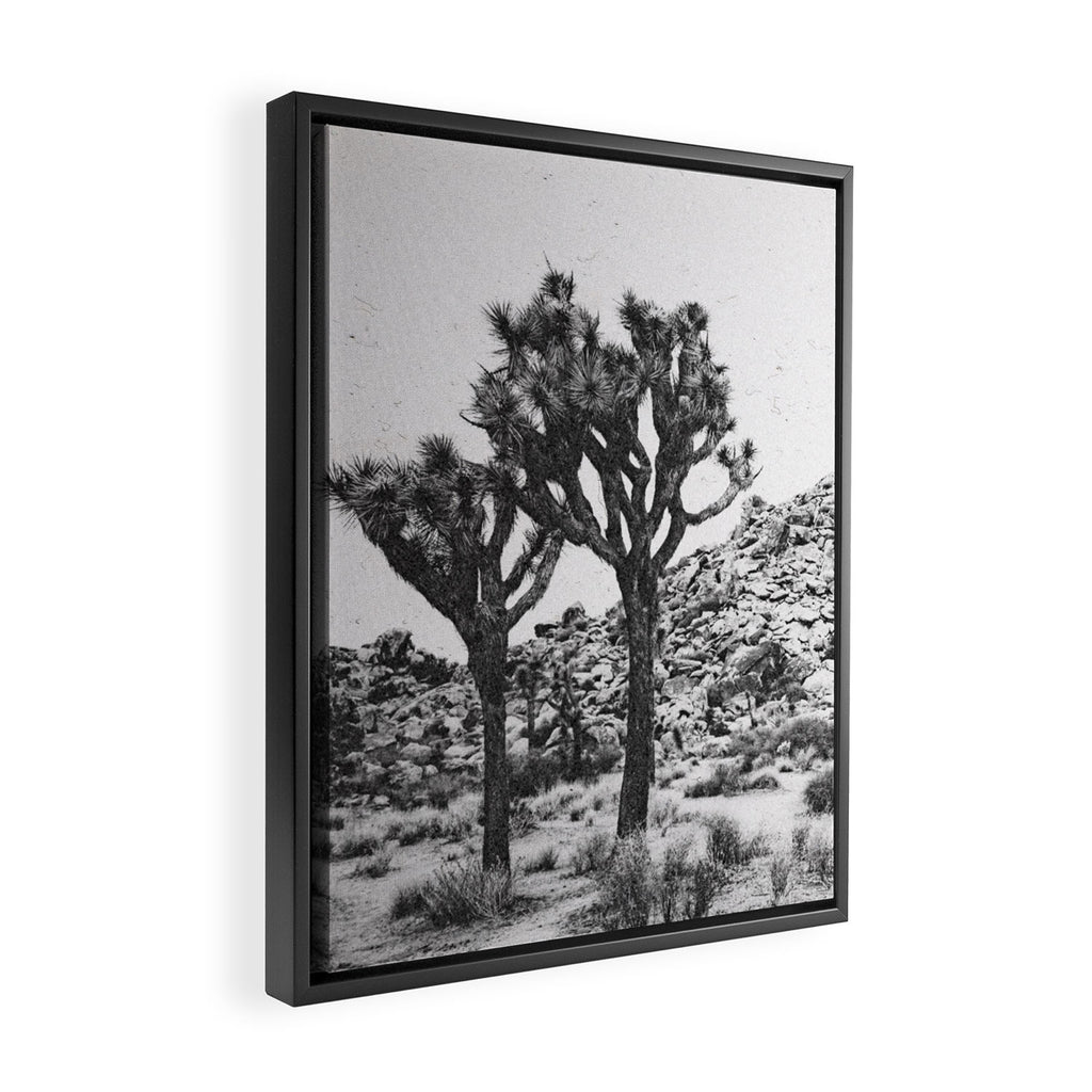 JOSHUA TREE VI / California Desert Framed Canvas Print Gallery Image 2