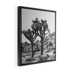 JOSHUA TREE VI / California Desert Framed Canvas Print Gallery Image 2