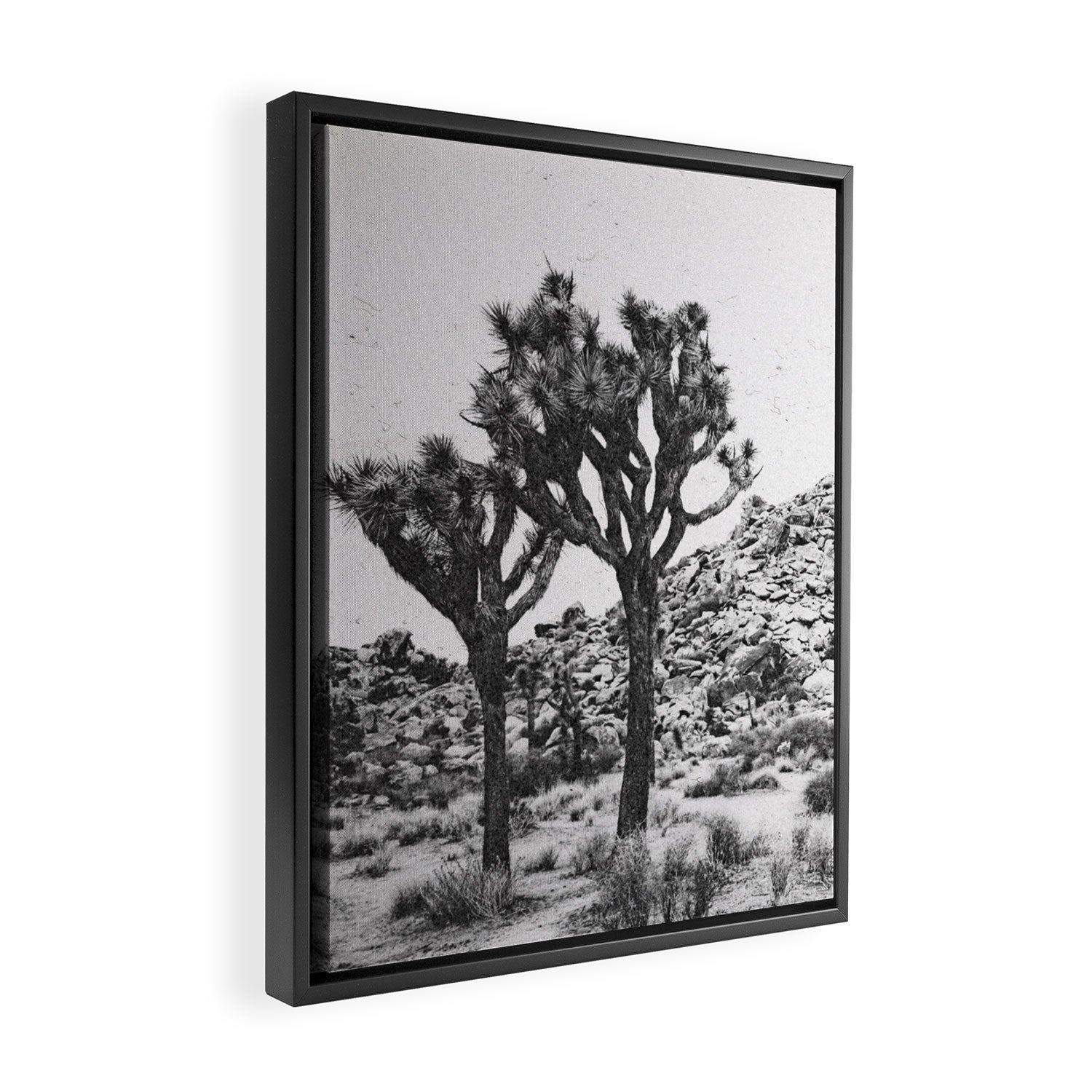 JOSHUA TREE VI / California Desert Framed Canvas Print Gallery Image 2
