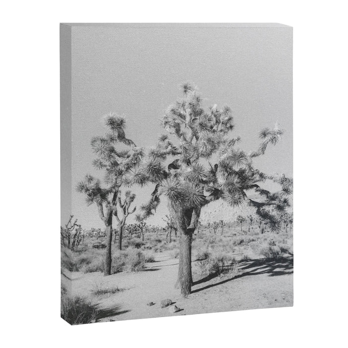 JOSHUA TREE VII / California Desert Canvas Print Gallery Image 1