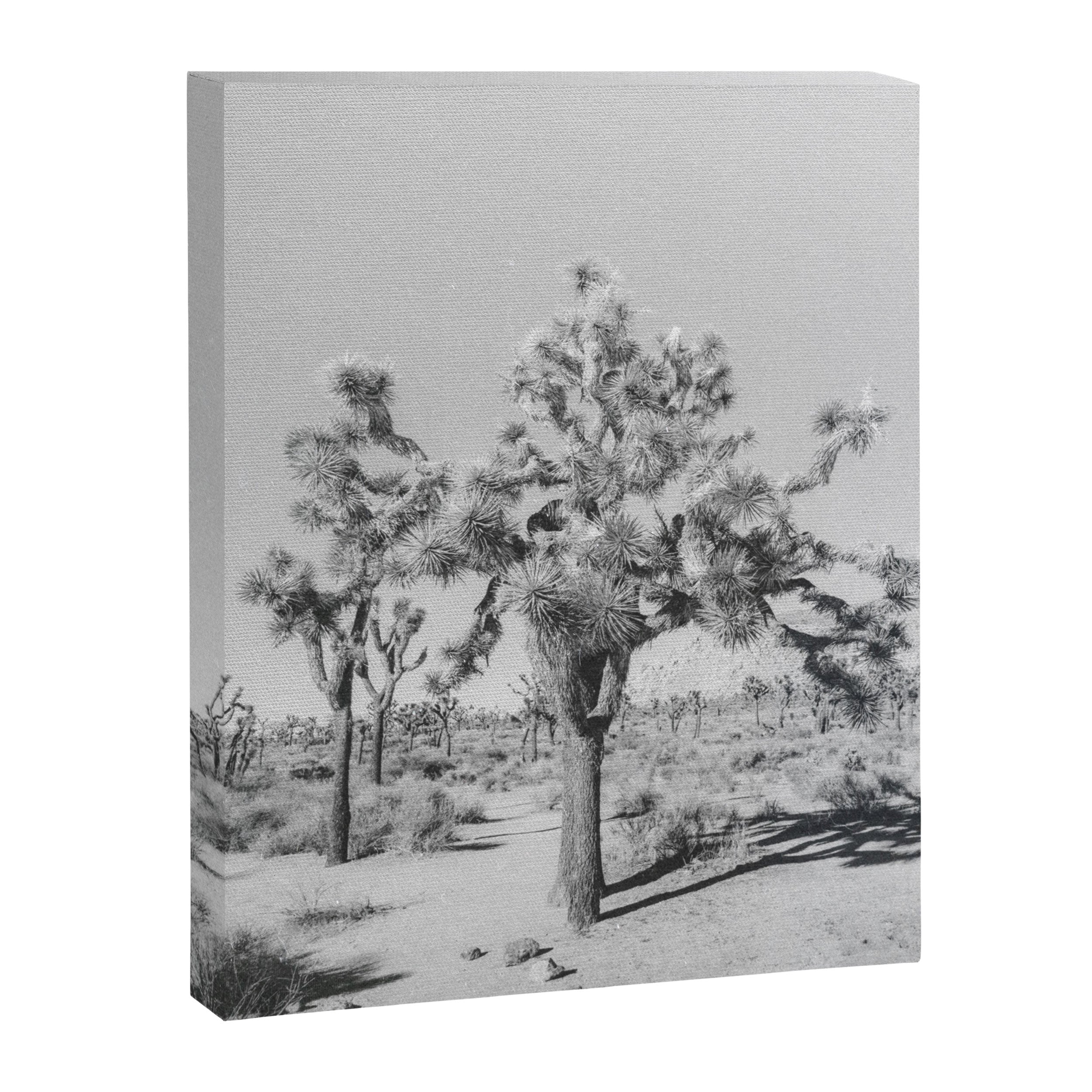 JOSHUA TREE VII / California Desert Canvas Print Gallery Image 6