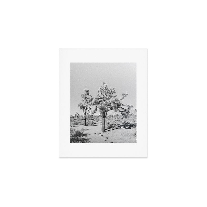 JOSHUA TREE VII / California Desert Art Print Gallery Image 1