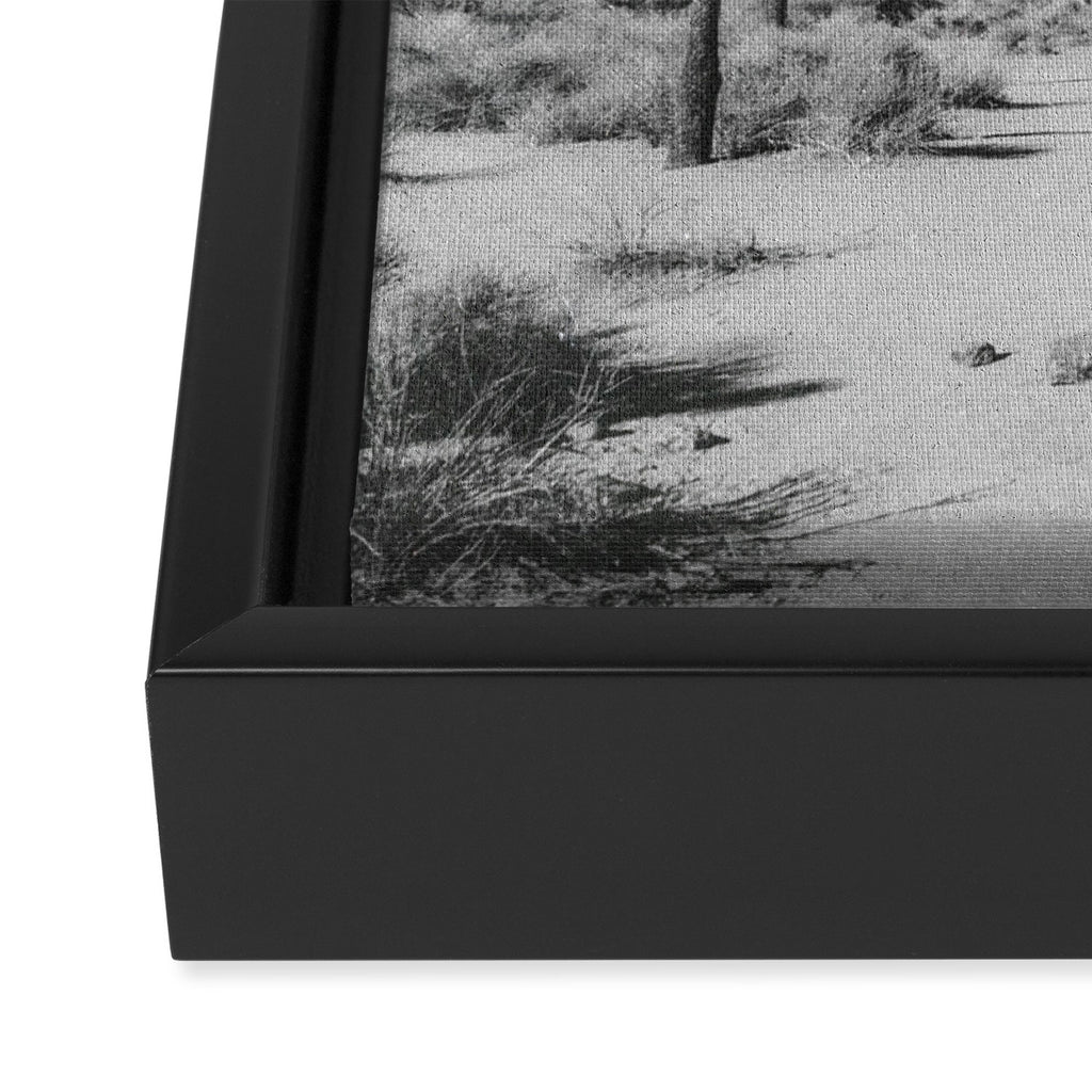 JOSHUA TREE VII / California Desert Framed Canvas Print Gallery Image 3
