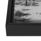 JOSHUA TREE VII / California Desert Framed Canvas Print Gallery Image 3