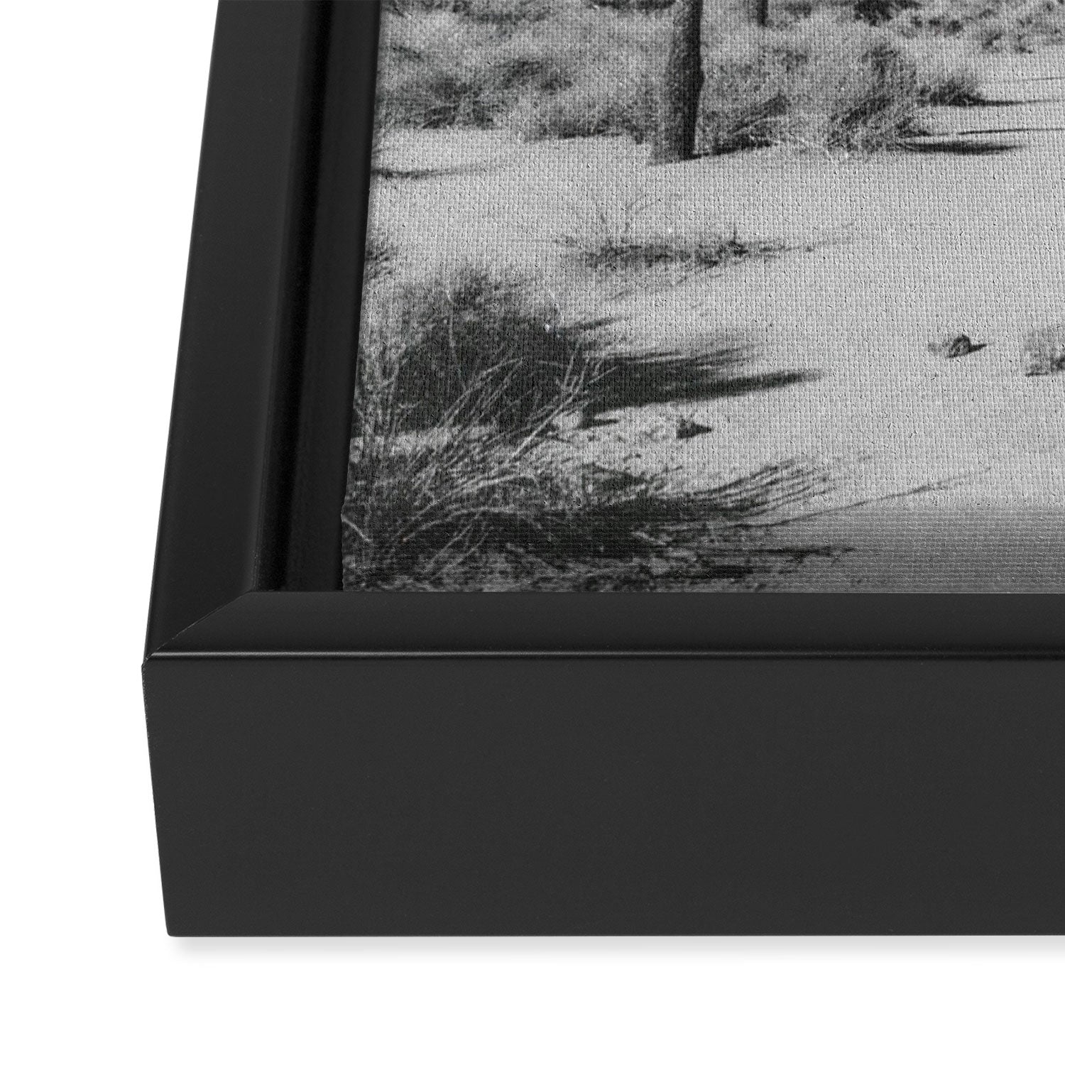 JOSHUA TREE VII / California Desert Framed Canvas Print Gallery Image 3