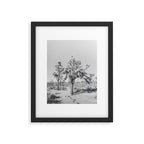 JOSHUA TREE VII / California Desert Framed Art Print Gallery Image 5