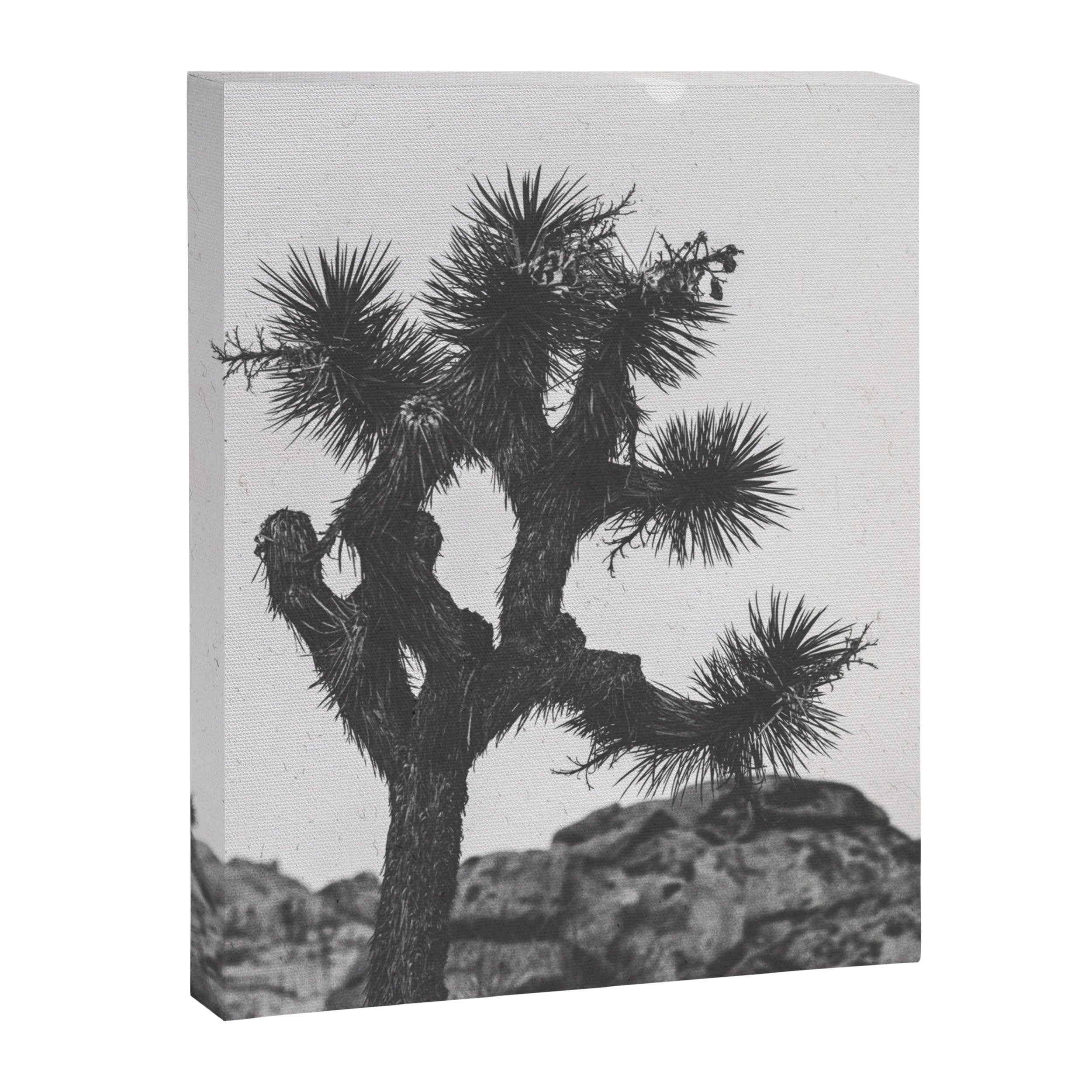 JOSHUA TREE XIII / California Desert Canvas Print Gallery Image 8