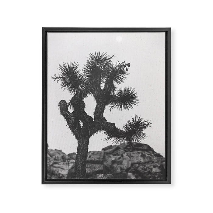 JOSHUA TREE XIII / California Desert Framed Canvas Print Gallery Image 1