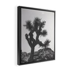 JOSHUA TREE XIII / California Desert Framed Canvas Print Gallery Image 2