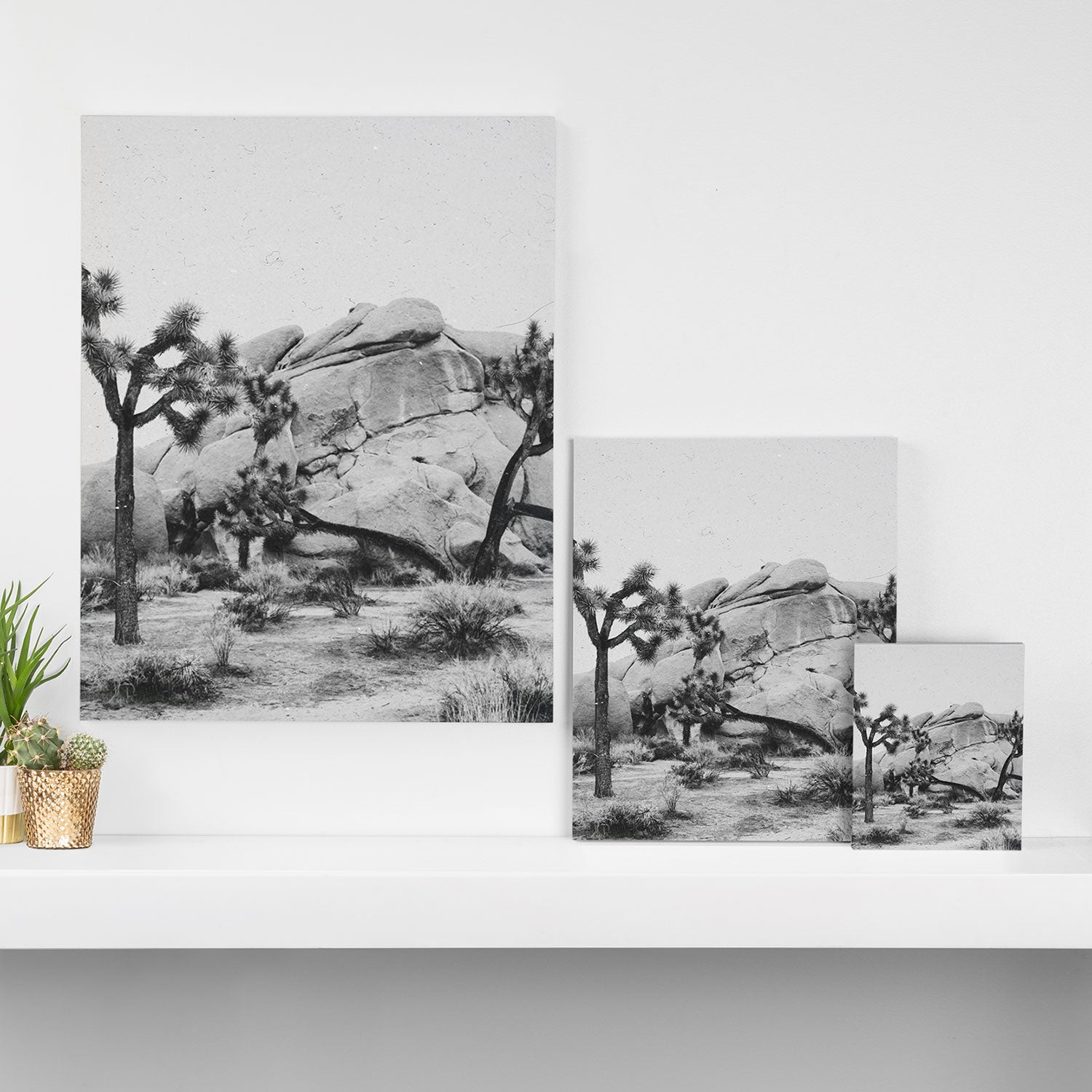 JOSHUA TREE XIV / California Desert Canvas Print Gallery Image 3