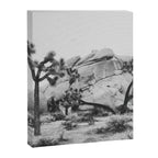 JOSHUA TREE XIV / California Desert Canvas Print Gallery Image 3