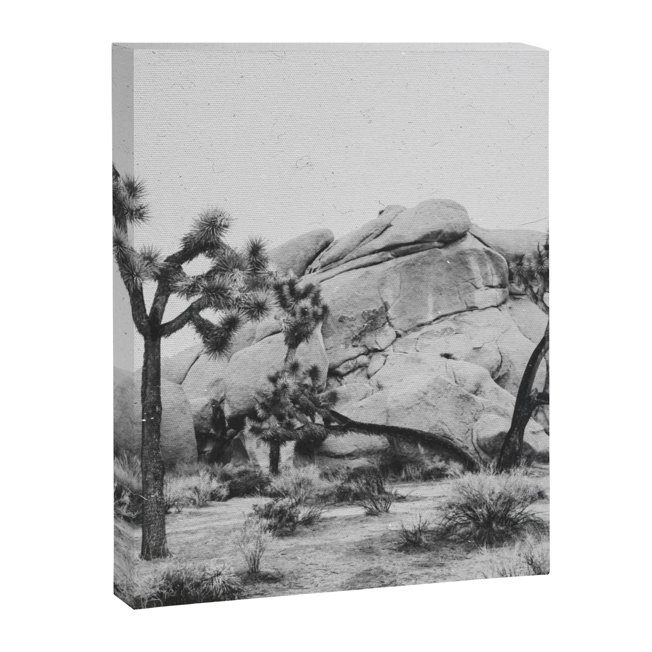 JOSHUA TREE XIV / California Desert Canvas Print Gallery Image 3