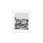 JOSHUA TREE XIV / California Desert Art Print Gallery Image 1