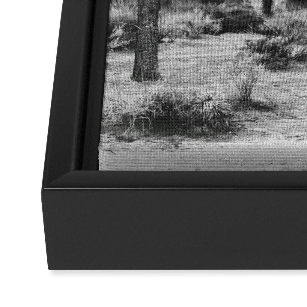 JOSHUA TREE XIV / California Desert Framed Canvas Print Gallery Image 3