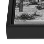JOSHUA TREE XIV / California Desert Framed Canvas Print Gallery Image 3