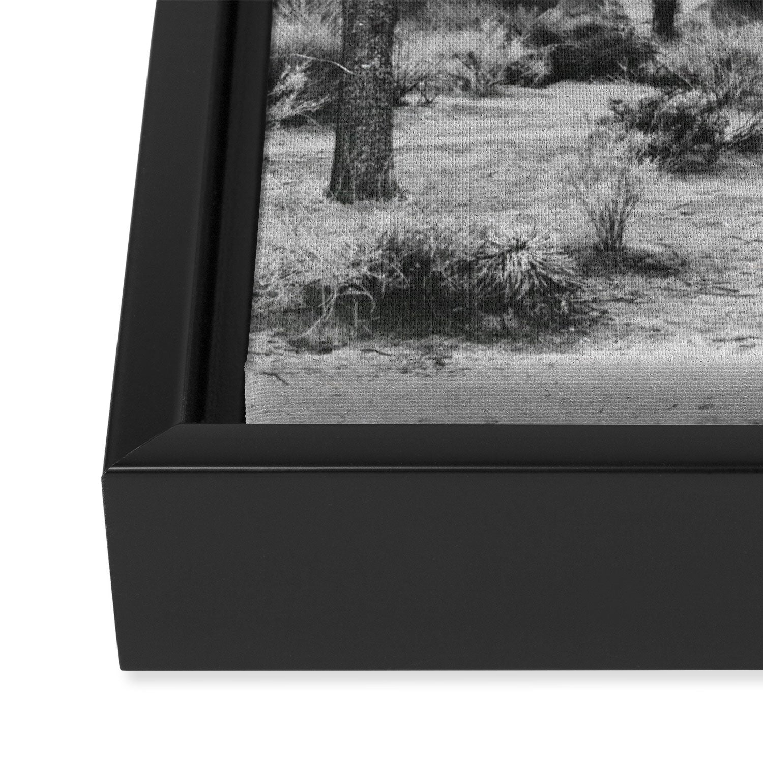 JOSHUA TREE XIV / California Desert Framed Canvas Print Gallery Image 3