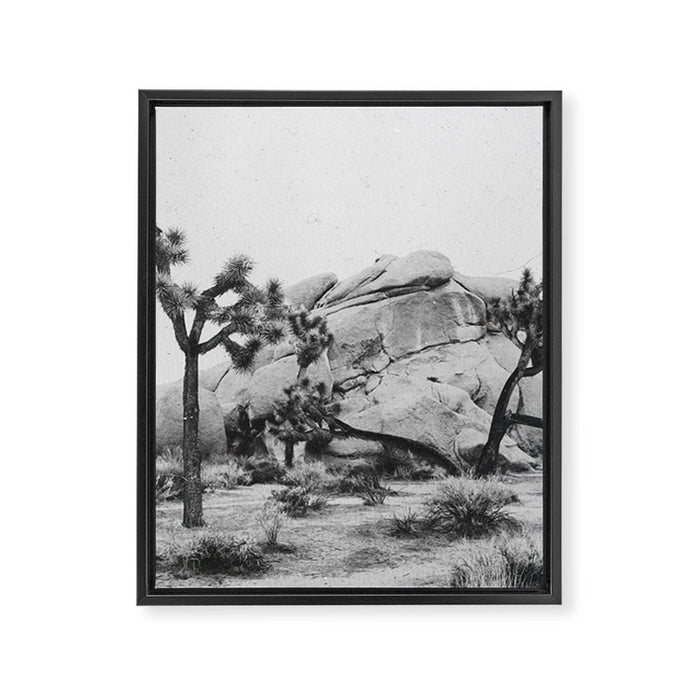 JOSHUA TREE XIV / California Desert Framed Canvas Print Gallery Image 1