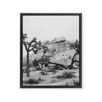 JOSHUA TREE XIV / California Desert Framed Canvas Print Gallery Image 6