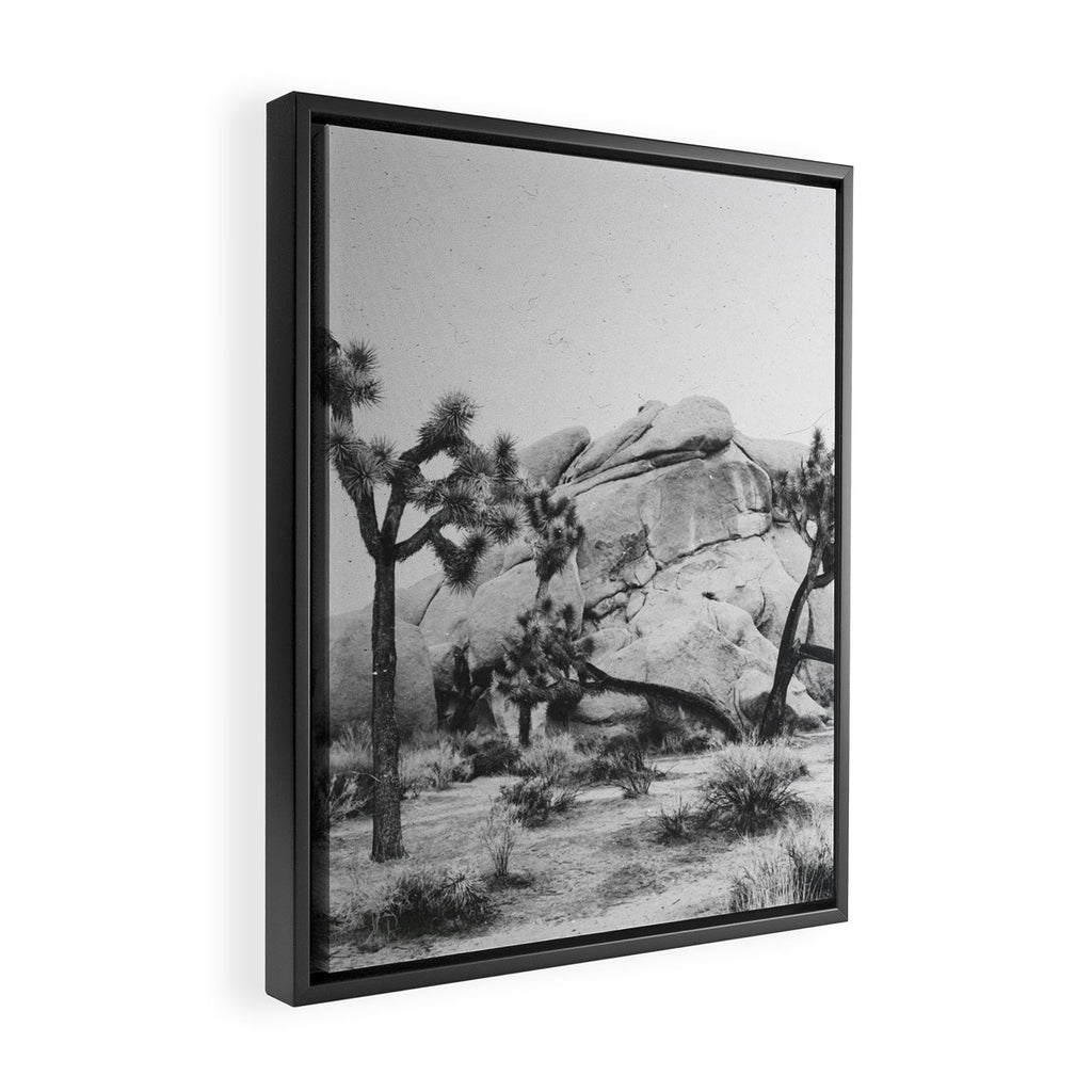 JOSHUA TREE XIV / California Desert Framed Canvas Print Gallery Image 2