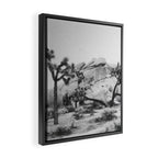 JOSHUA TREE XIV / California Desert Framed Canvas Print Gallery Image 2