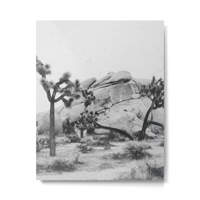 JOSHUA TREE XIV / California Desert Metal Print Gallery Image 1