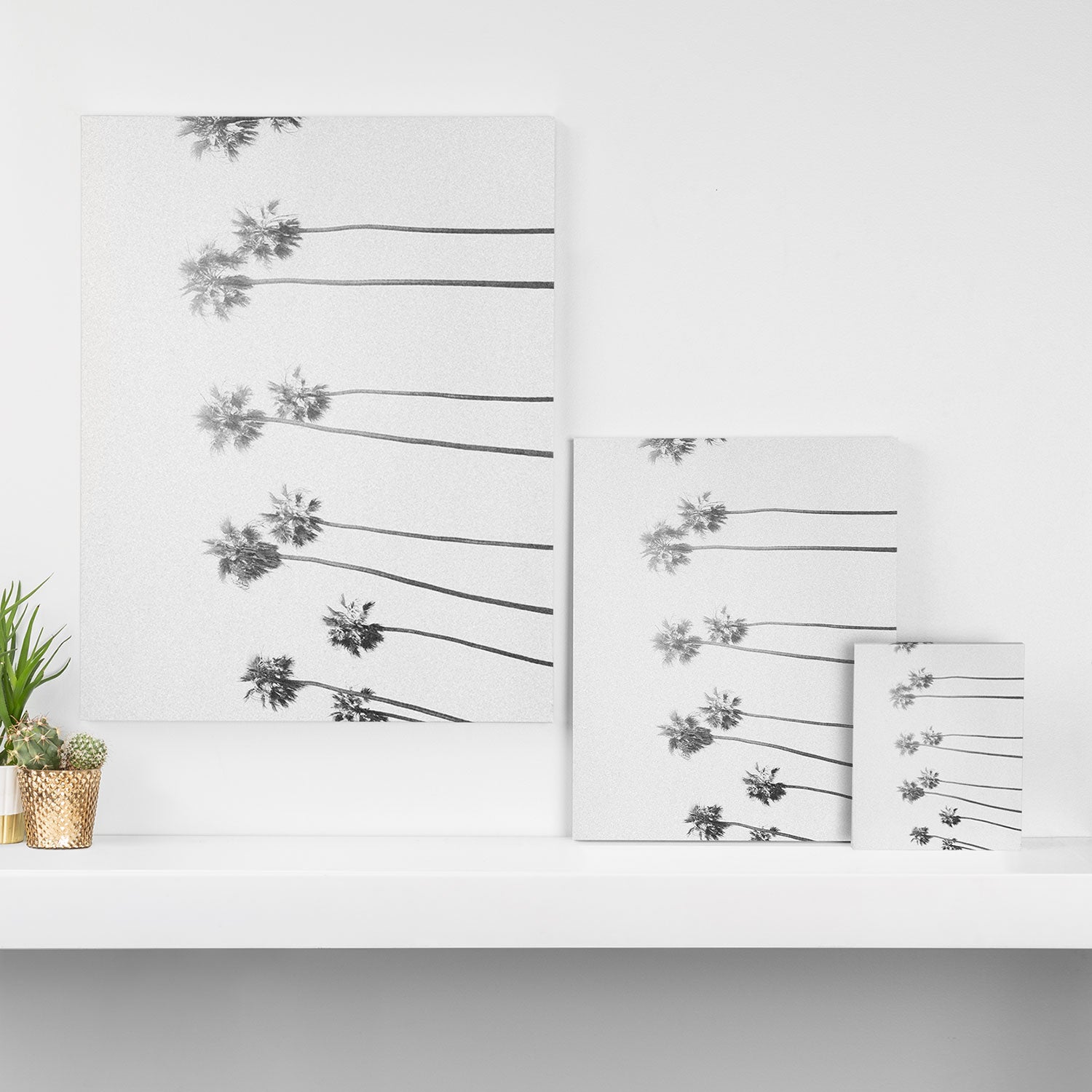 PALM TREES LXVII Canvas Print Gallery Image 3