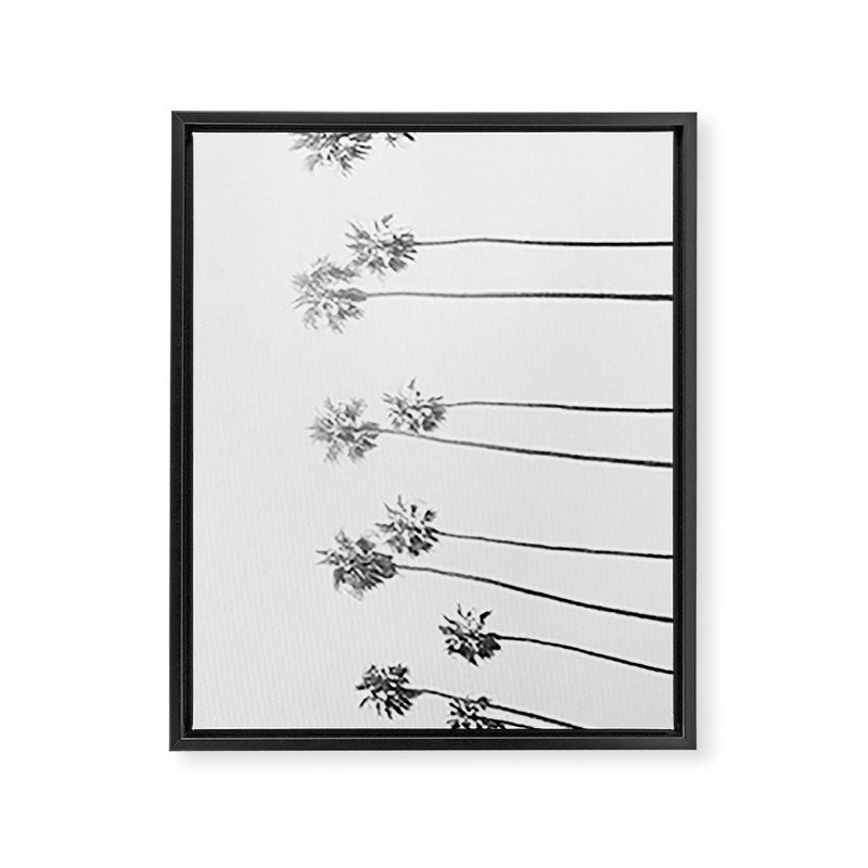 PALM TREES LXVII Framed Canvas Print Gallery Image 6