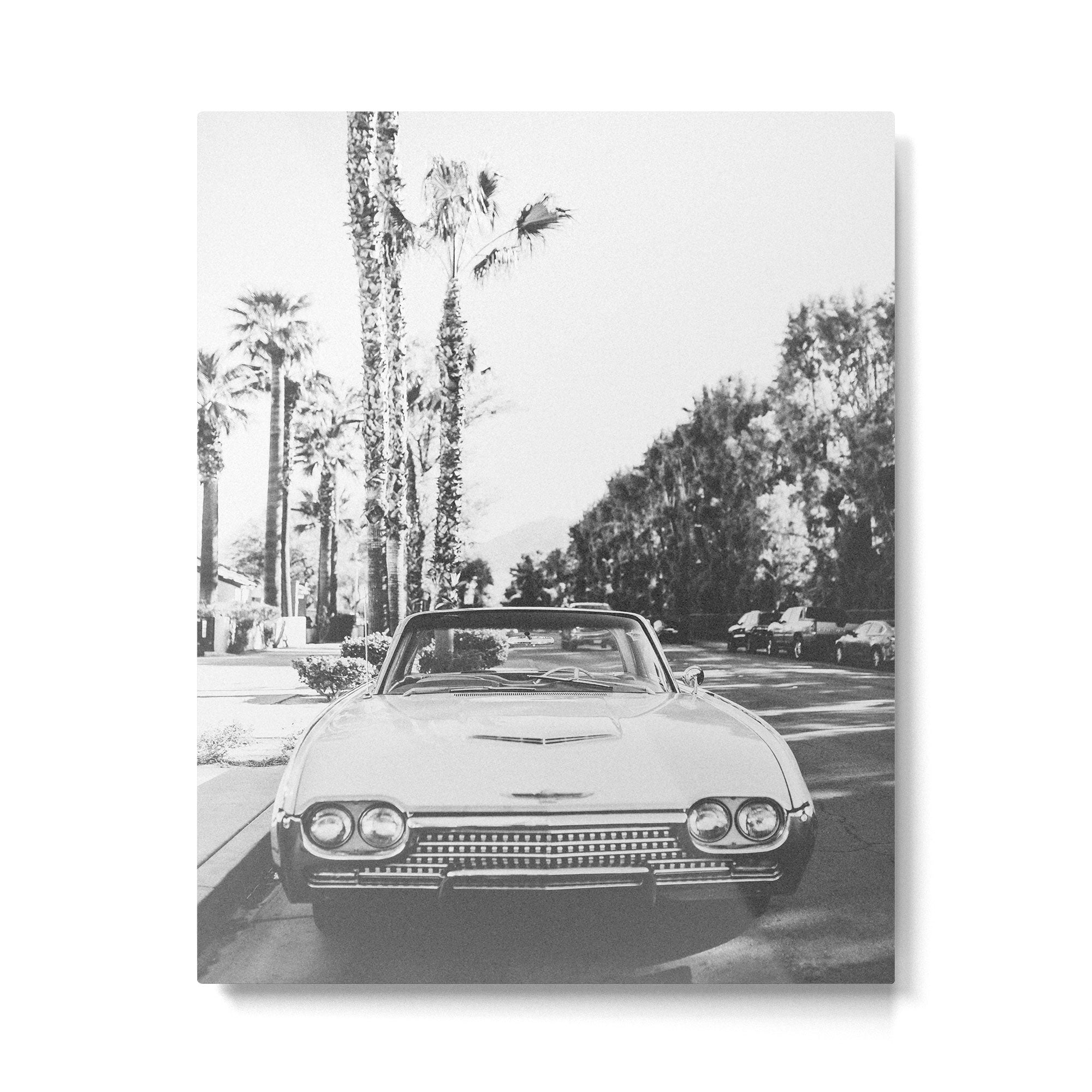 VINTAGE PALM SPRINGS Metal Print Gallery Image 6