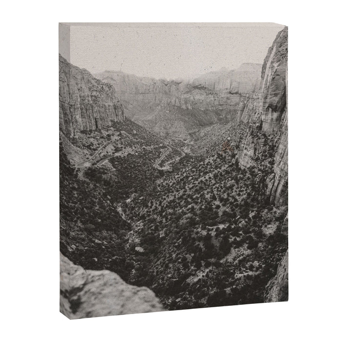 ZION / Utah Desert Canvas Print Gallery Image 1