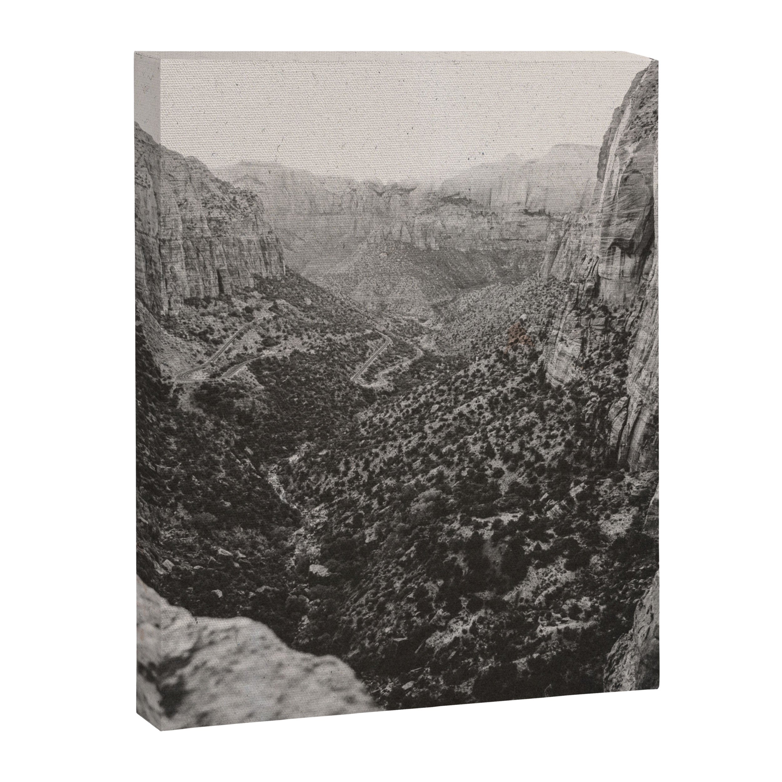 ZION / Utah Desert Canvas Print Gallery Image 6