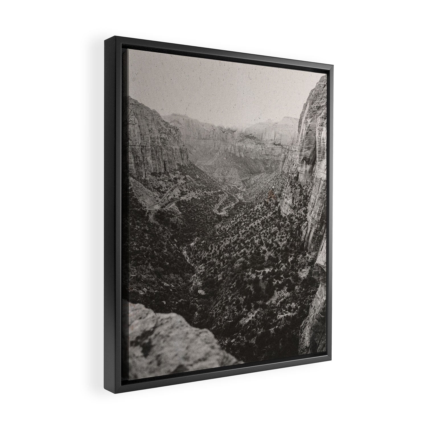 ZION / Utah Desert Framed Canvas Print Gallery Image 2