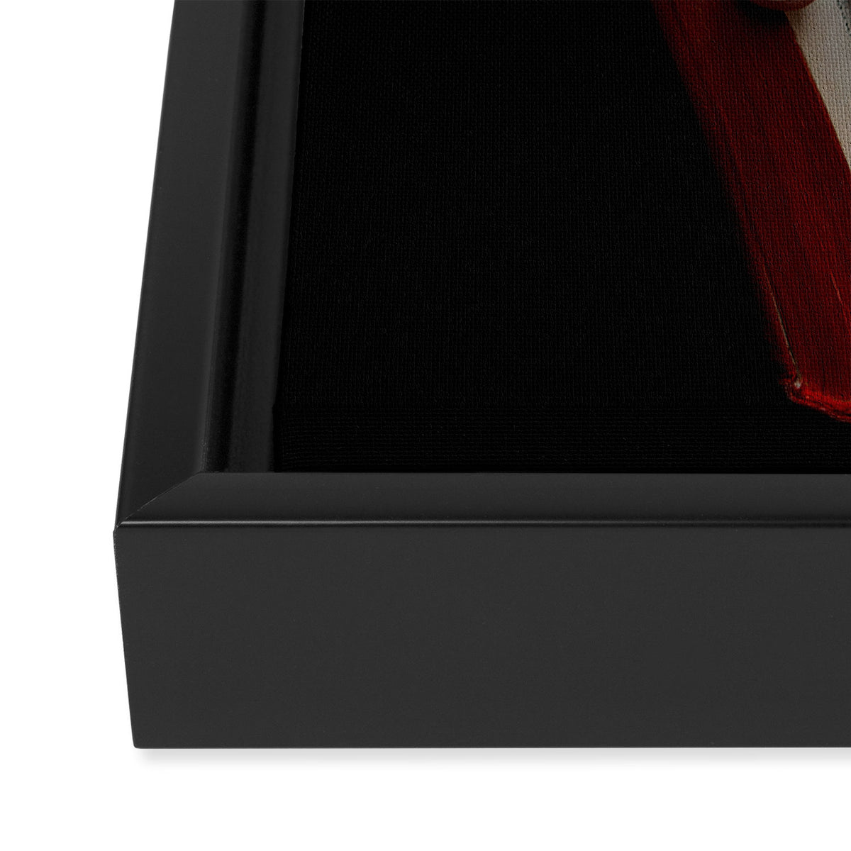 "V" doesn't mean Vendetta Framed Canvas Print Gallery Image 3
