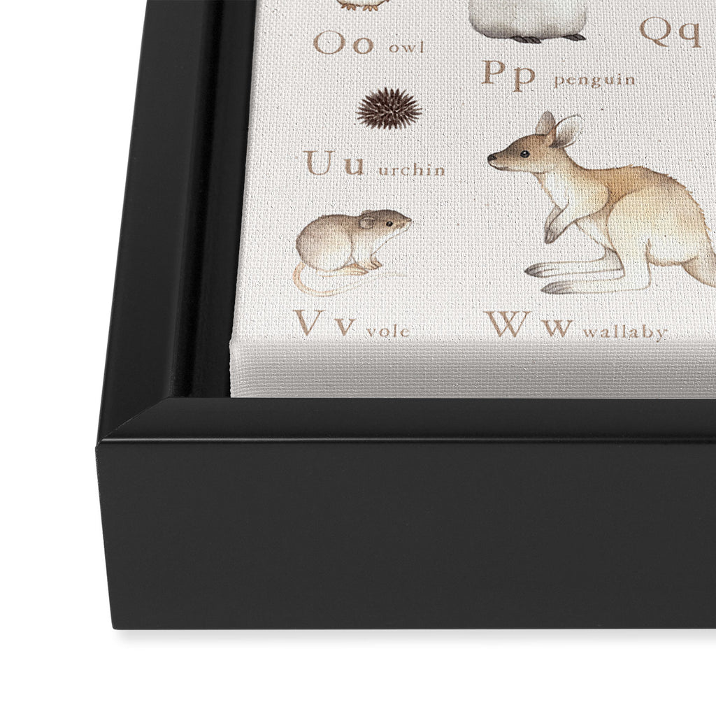 Animal Alphabet Framed Canvas Print Gallery Image 3