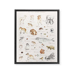 Animal Alphabet Framed Canvas Print Gallery Image 6