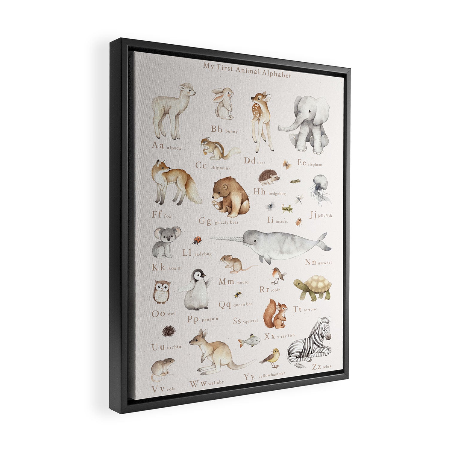 Animal Alphabet Framed Canvas Print Gallery Image 2