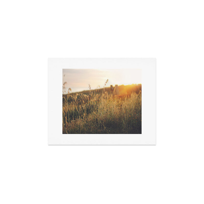 Golden - Beach vegetation at sunset - Botanic, nature and golden light Art Print