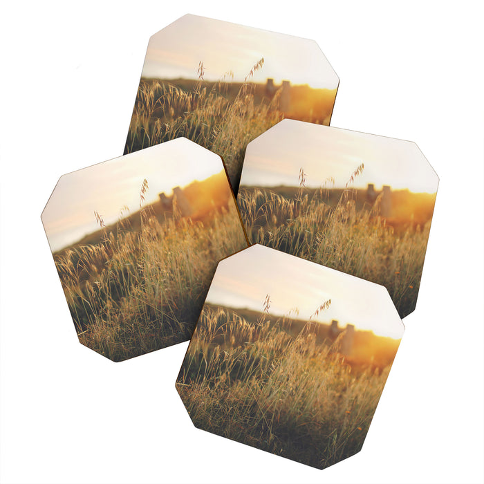 Golden - Beach vegetation at sunset - Botanic, nature and golden light Coaster Gallery Image 1
