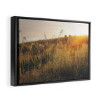 Golden - Beach vegetation at sunset - Botanic, nature and golden light Framed Canvas Print Gallery Image 2