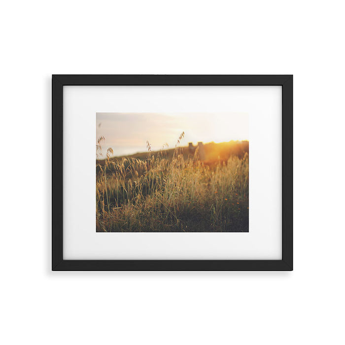 Golden - Beach vegetation at sunset - Botanic, nature and golden light Framed Art Print Gallery Image 1